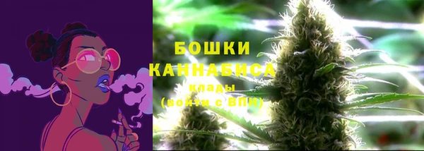 шишки Краснотурьинск