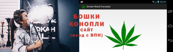 крисы Красноперекопск