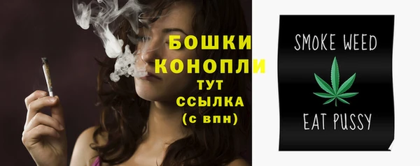ECSTASY Краснослободск