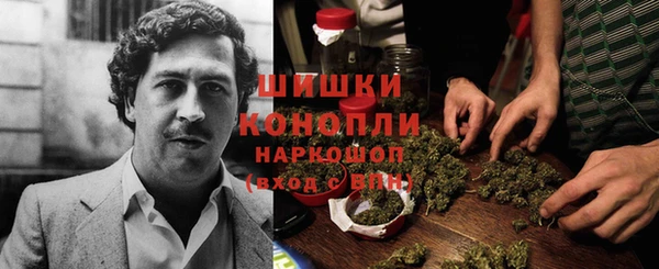 ECSTASY Краснослободск