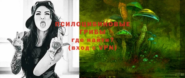 ECSTASY Краснослободск
