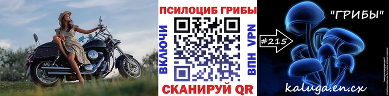 Галлюциногенные грибы Psilocybine cubensis  Купить где  Звенигово 
